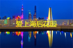 夜上海体验游：带你穿越时空的热门景点！