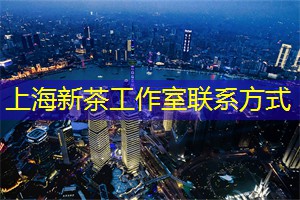听风起舞，上海后花园的美妙与宁静