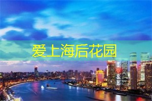 上海夜生活攻略：如何找到最适合自己的场所？