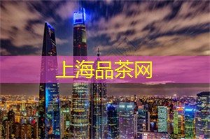 上海的嘻哈文化及其影响力