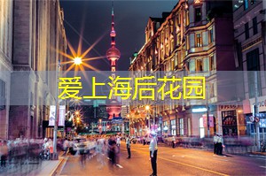 在艺术中追求卓越：上海的文化精髓